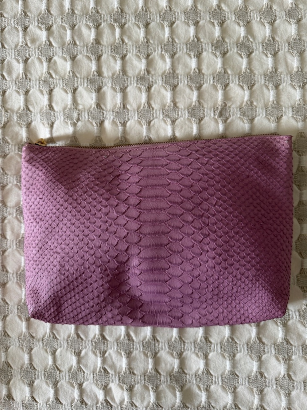 Cuyana python embossed clutch